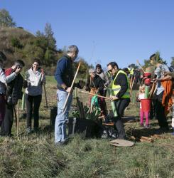 plantacion bosque en agustinos