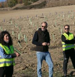 Unos voluntarios en la plantación de un bosque