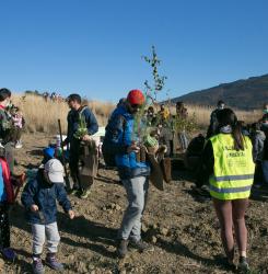 Unos voluntarios en la plantación de un bosque