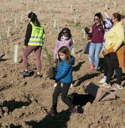 Unos voluntarios en la plantación de un bosque