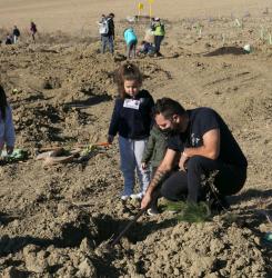 Unos voluntarios plantan un árbol