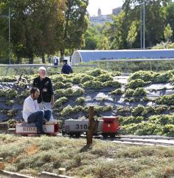 parque del tren