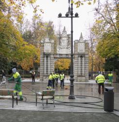 Bosquecillo de Pamplona