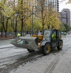Bosquecillo de Pamplona