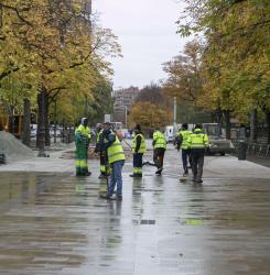 Bosquecillo de Pamplona