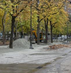 Bosquecillo de Pamplona