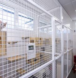 CENTRO DE ANIMALES