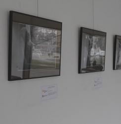 exposicion ucrania