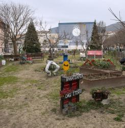 visita al huerto urbano de rochapea