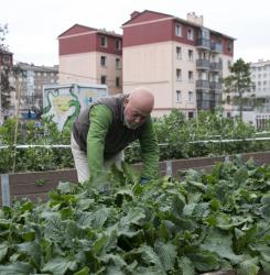visita al huerto urbano de rochapea