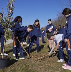 plantacion