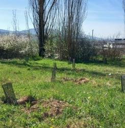 bosque olimpico