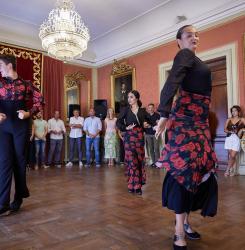 flamenco
