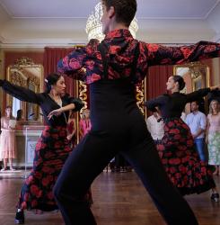 flamenco