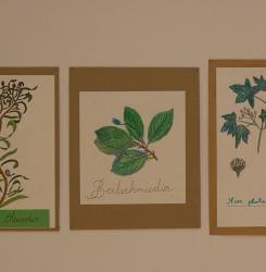 imagen_exposicion