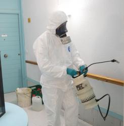 Desinsectación apartamento tutelado Tulebras