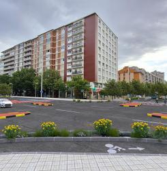 Pío XII