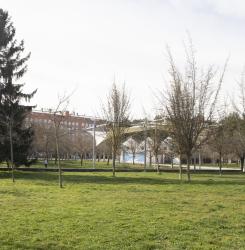 parque_de_san_jorge_cnb_9466.jpg