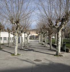 parque_de_san_jorge_cnb_9475.jpg