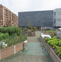 Visita foro de barrio Mendebaldea-Ermitagaña