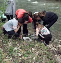 Proyecto educativo para medir la calidad del agua de los ríos