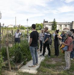 Visita barrio Etxabakoitz