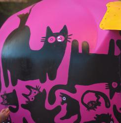 iglus gatos