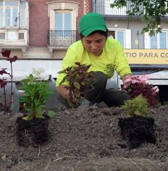 recuperación jardines
