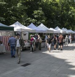 mercadillo_productos_locales_bosquecillo_cnb_2347.jpg
