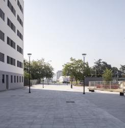 paso_peatonal_calle_amaya_cnb_5042.jpg