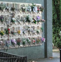 cementerio