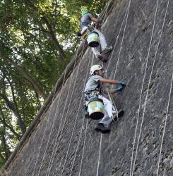 limpieza murallas