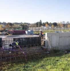 obras magdalena