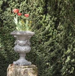 Flores