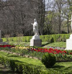 Flores