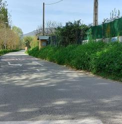 Camino de Caparroso