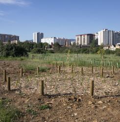 2.visita_bosque_de_mendebaldea_cnb_3125.jpg