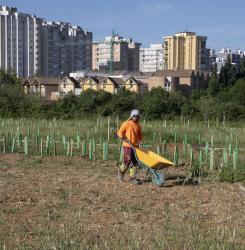 4.visita_bosque_de_mendebaldea_cnb_3126.jpg