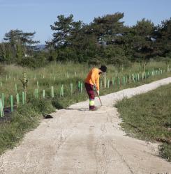 6.visita_bosque_de_mendebaldea_cnb_3146.jpg