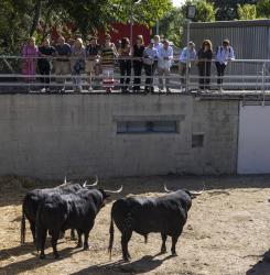 visita los Corrales del Gas