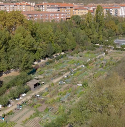 huertas de ocio de Aranzadi