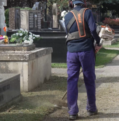 cementerio