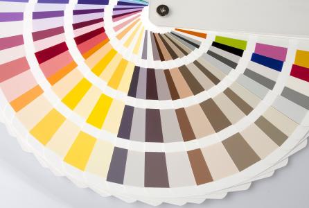 Paleta de colores
