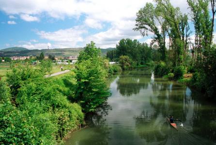río arga