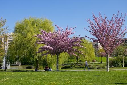 Parque primavera