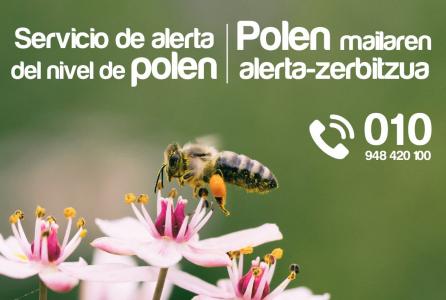 servicio polen ayuntamiento