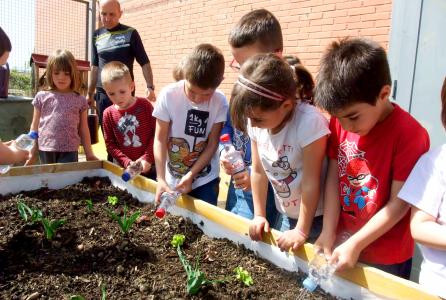 huerta escolar ecológica