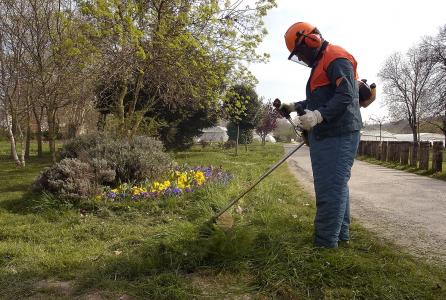 taller jardinería