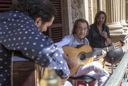 flamenco