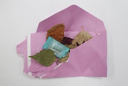 Eco-sistemas de carteo